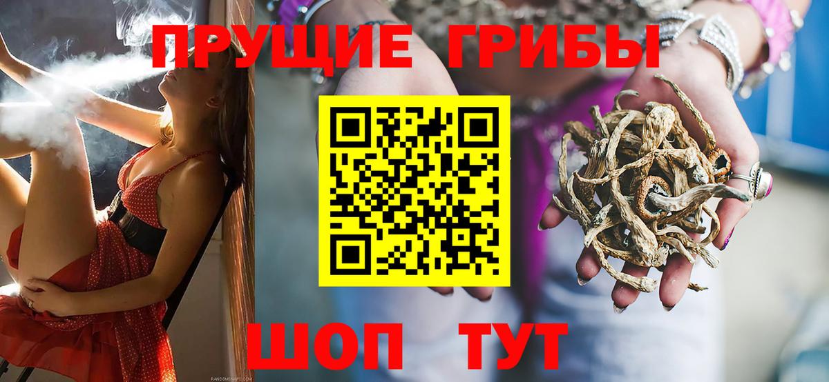 Пенза  Галлюциногенные грибы Magic Shrooms  Галлюциногенные грибы Cubensis  Вход с VPN 